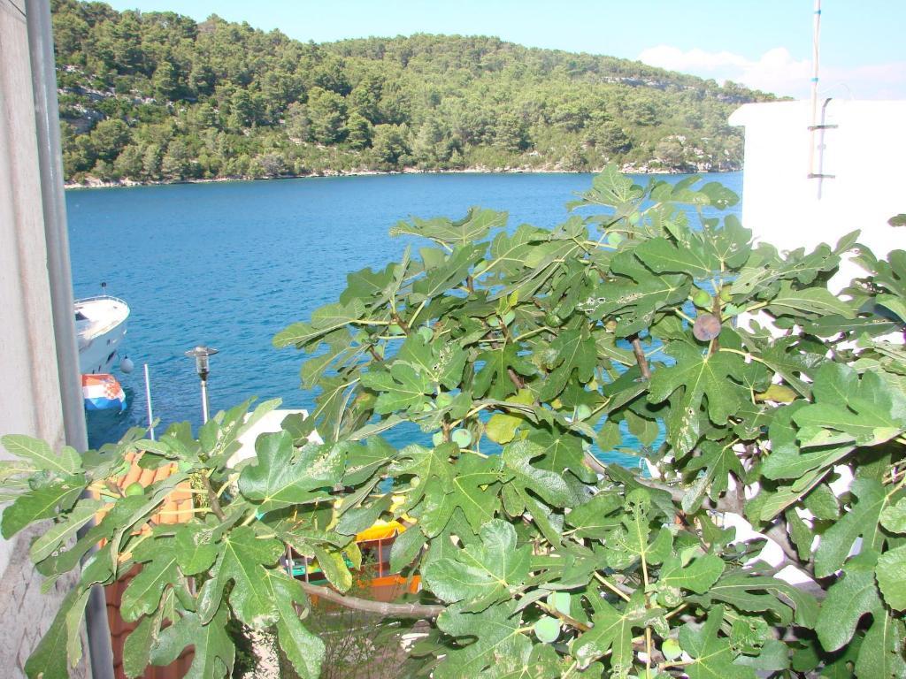 Hotel Sea House Mljet Polače Pokój zdjęcie